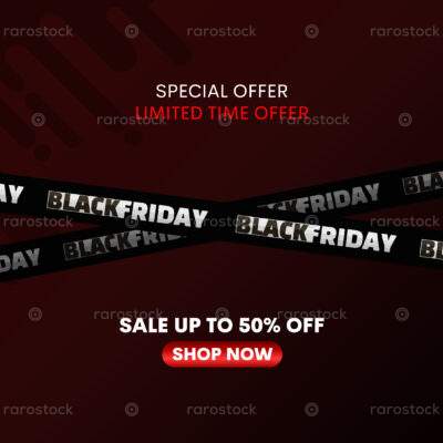 Black Friday Sale