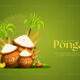 Happy Pongal