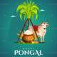 Pongal 2025